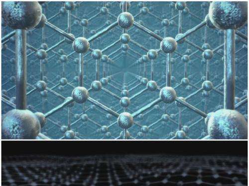 水性聚合物分散体